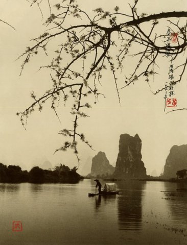 Профессиональные фото природы от Дон Хонг-Оай