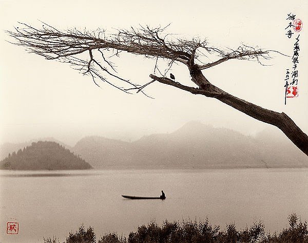 Профессиональные фото природы от Дон Хонг-Оай